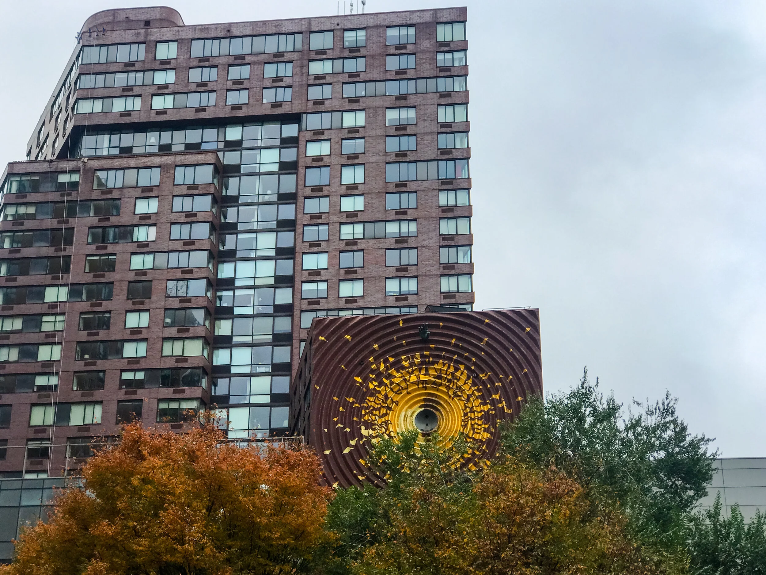 2019 NEW YORK FALL IPHONE-16.JPG