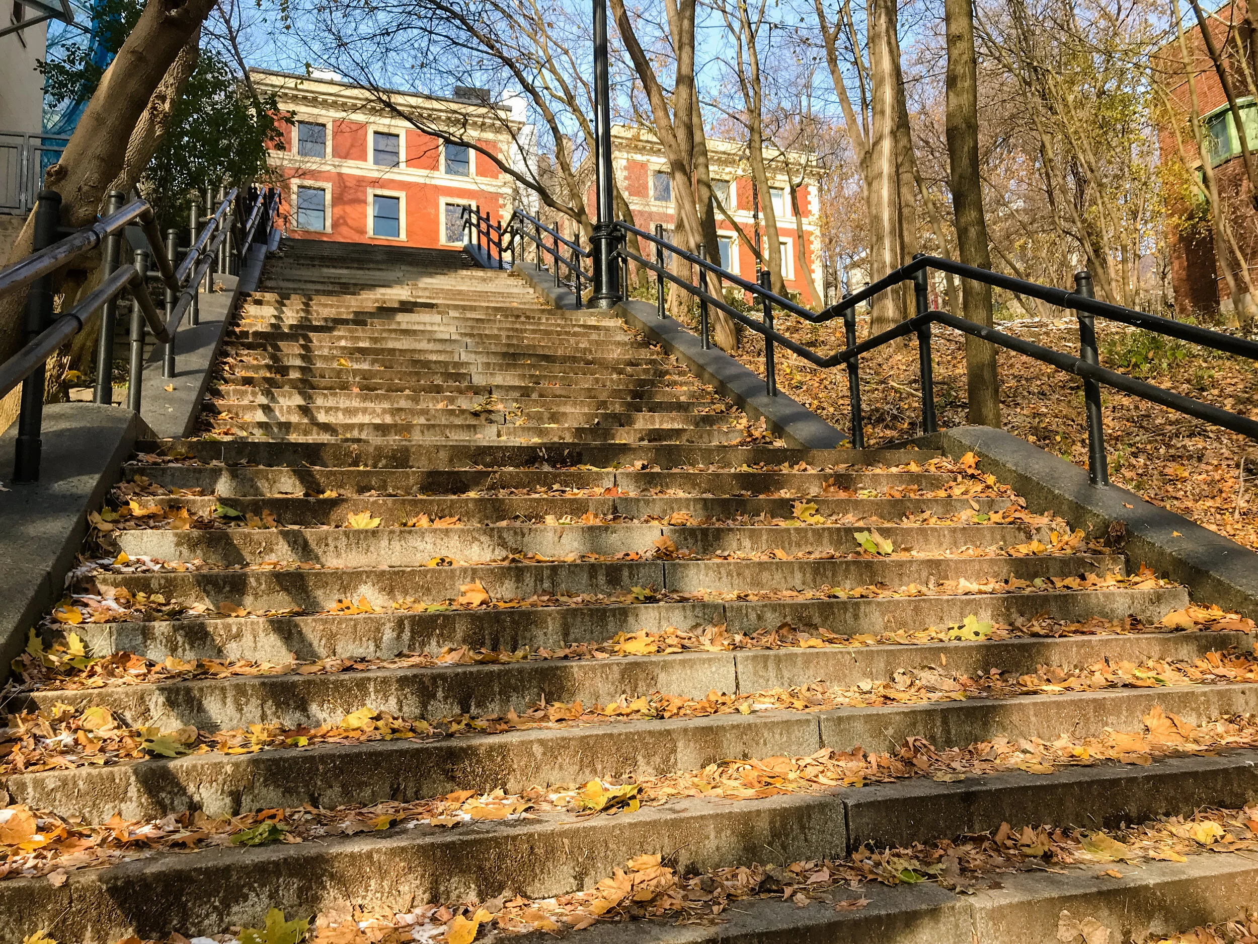 2019 MONTREAL IPHONE-37.JPG