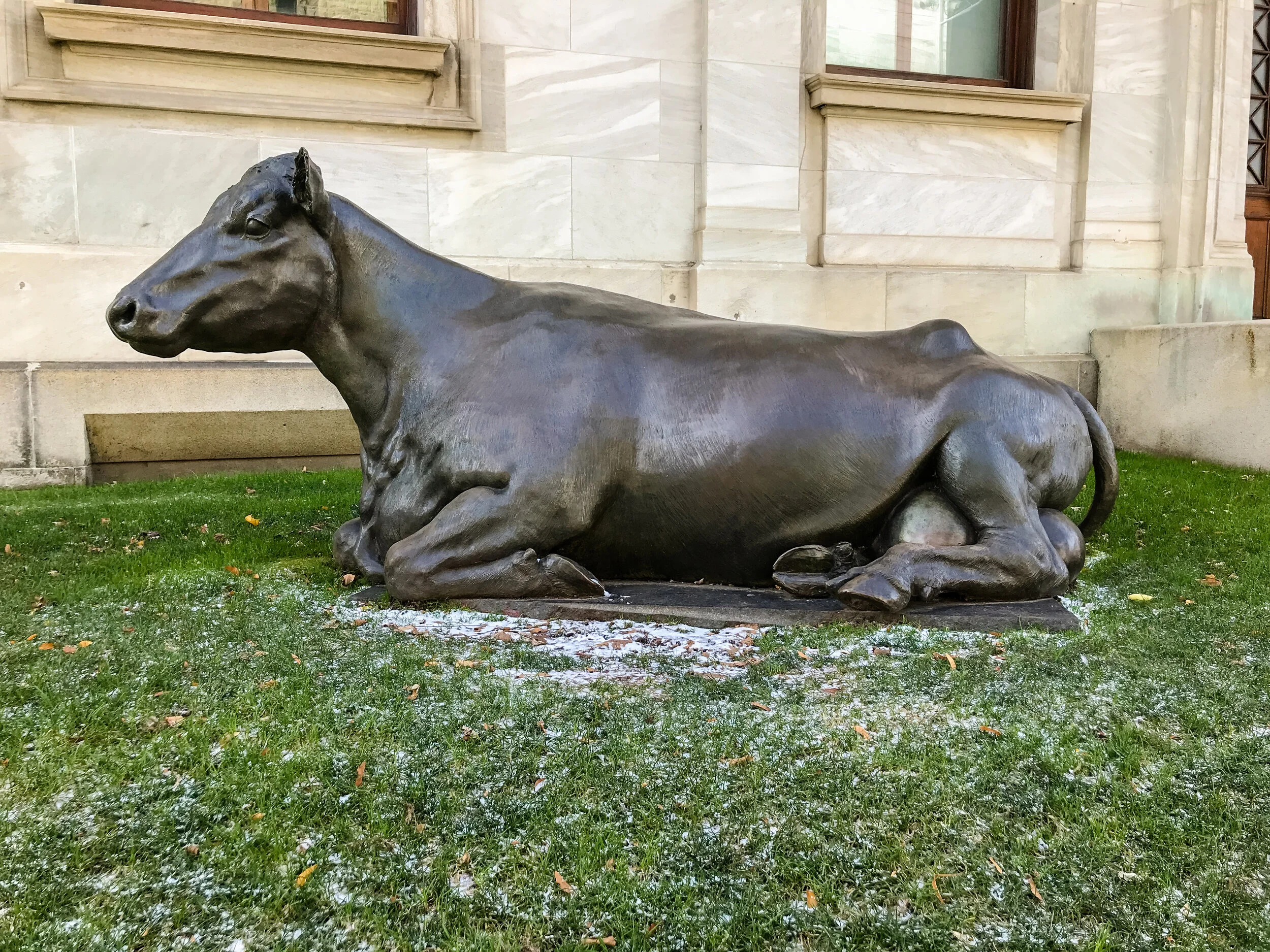 2019 MONTREAL IPHONE-44.JPG