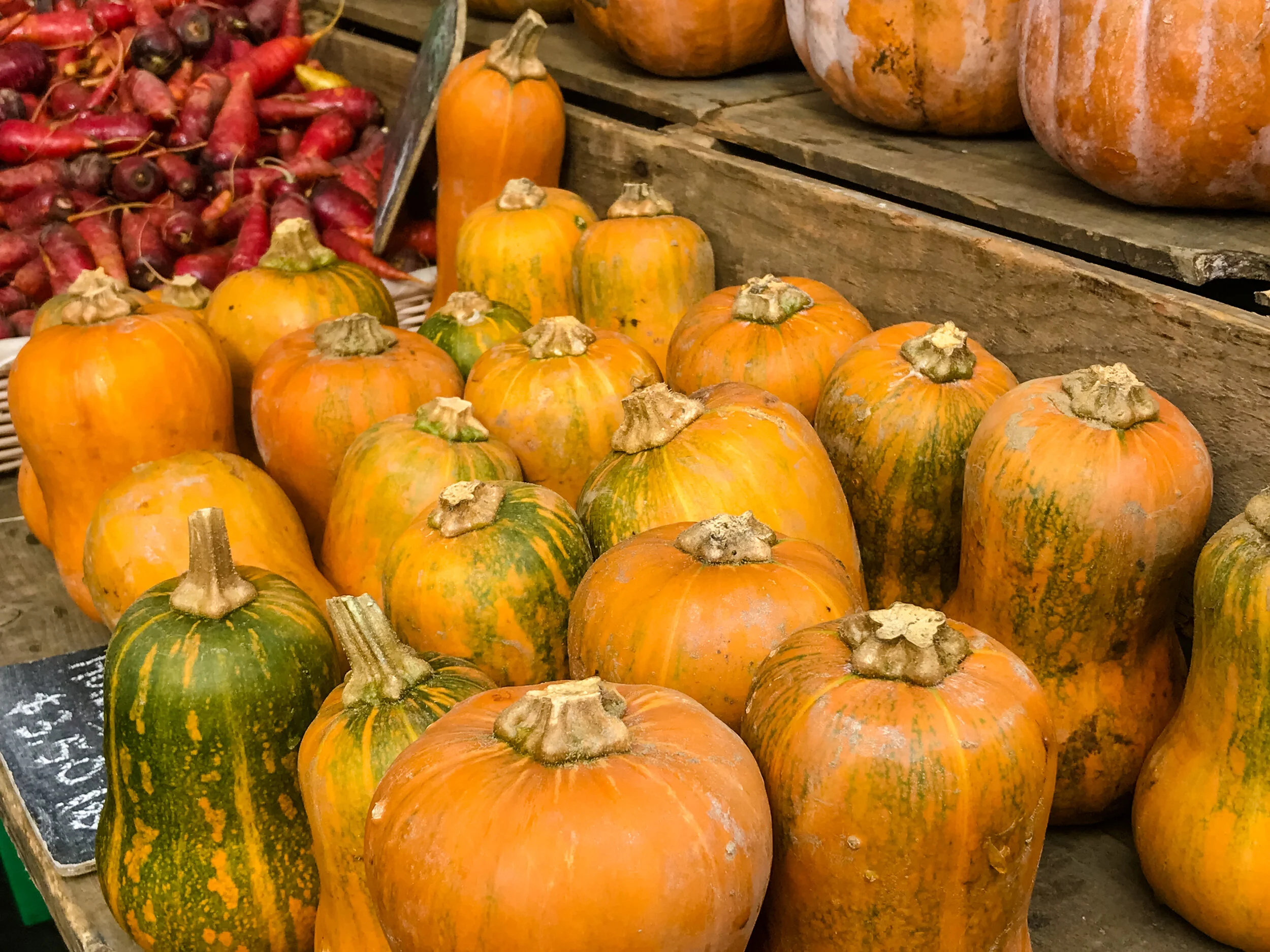 2019 NEW YORK FALL IPHONE-33.JPG