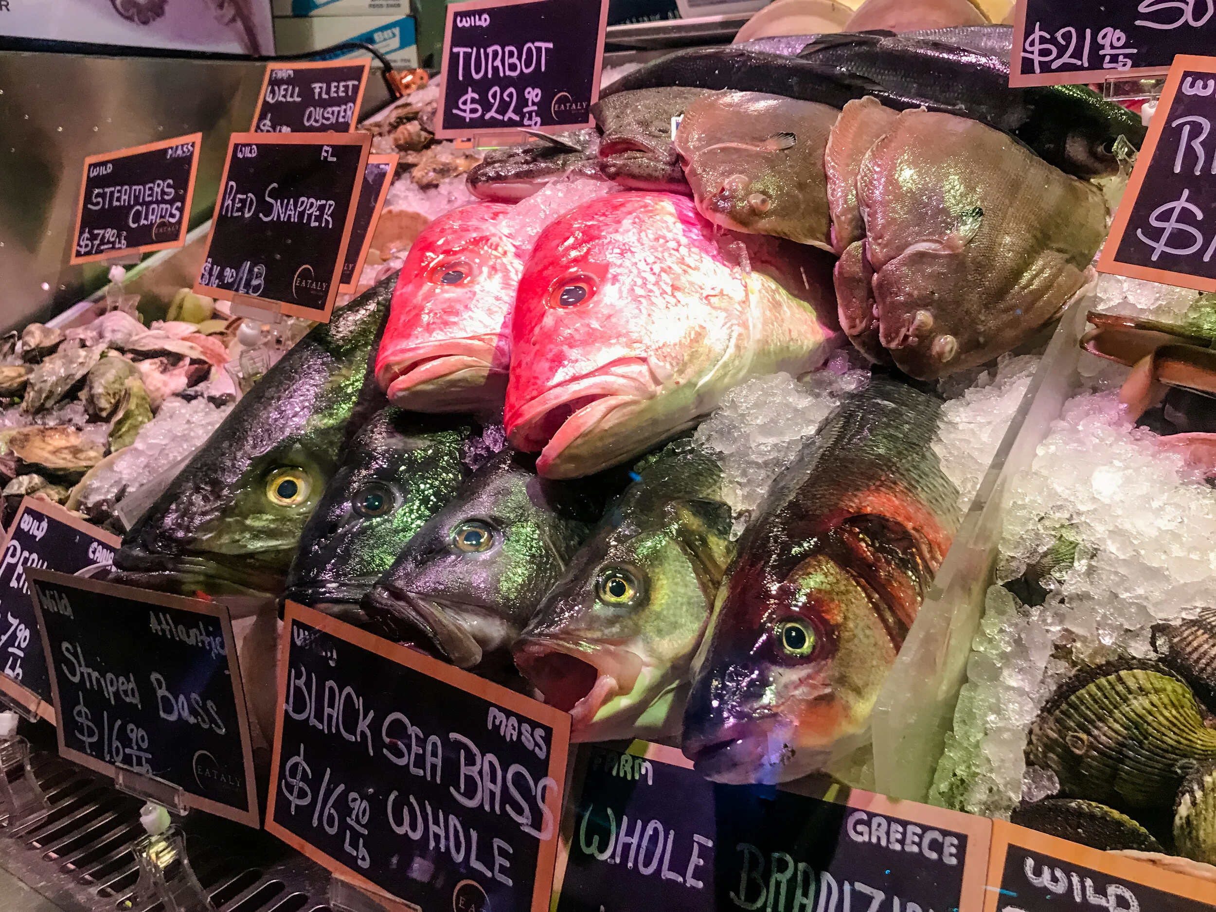 2019 NEW YORK FALL IPHONE-37.JPG