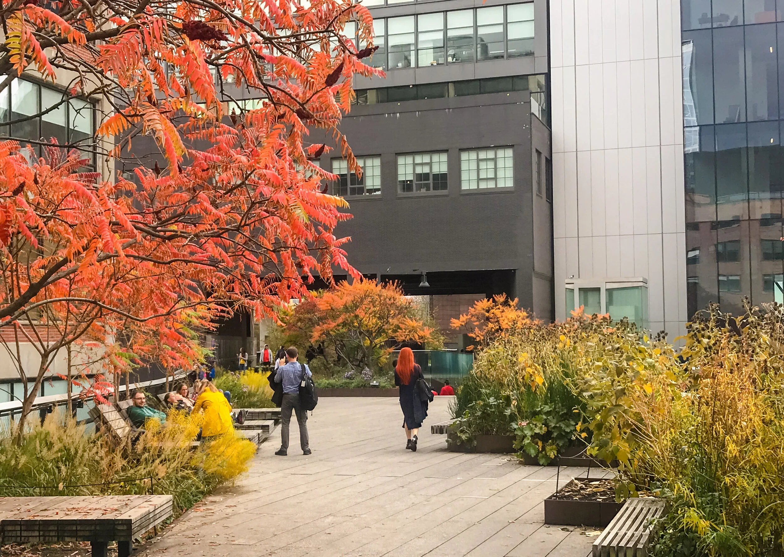 2019 NEW YORK FALL IPHONE-92.JPG