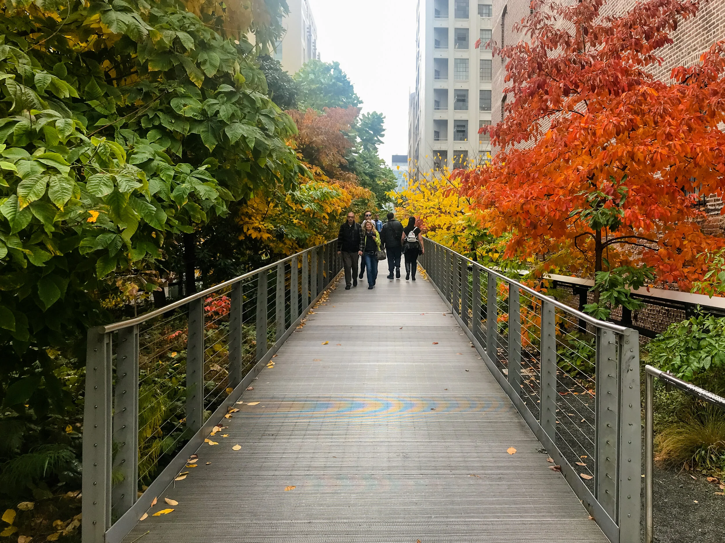 2019 NEW YORK FALL IPHONE-91.JPG