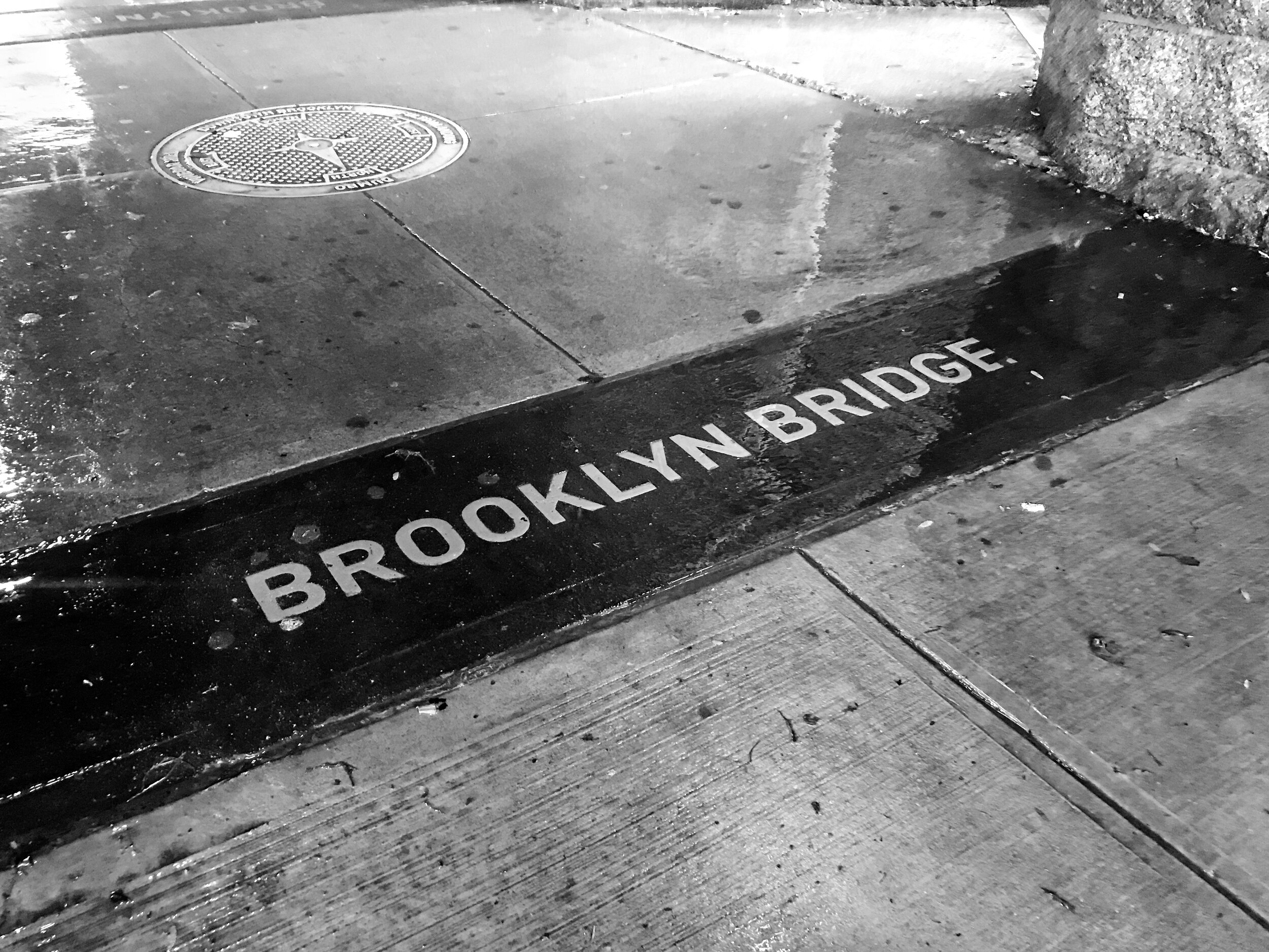 2019 NEW YORK FALL IPHONE-105.JPG