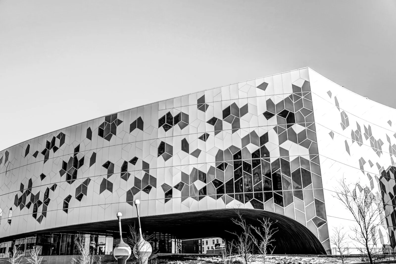 2019 Calgary Skyline Winter BW-4.JPG