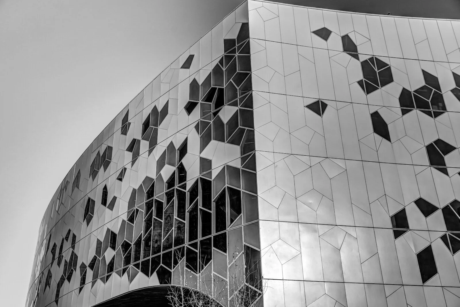 2019 Calgary Skyline Winter BW-6.JPG