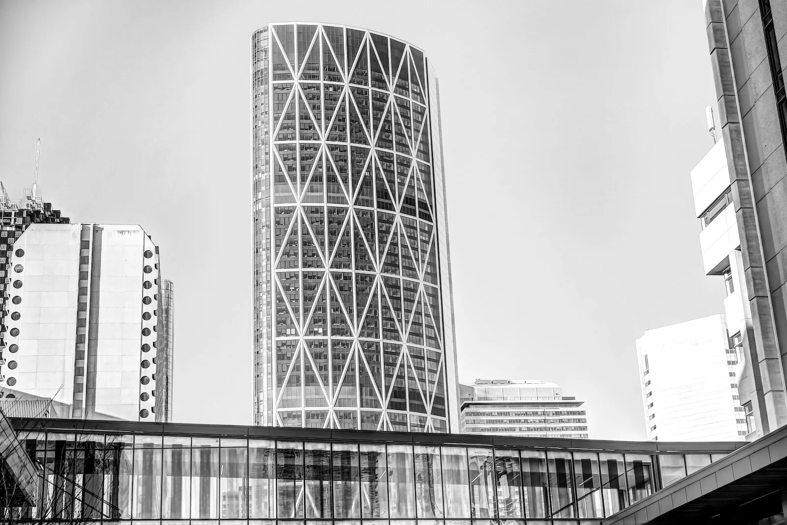 2019 Calgary Skyline Winter BW-15.JPG