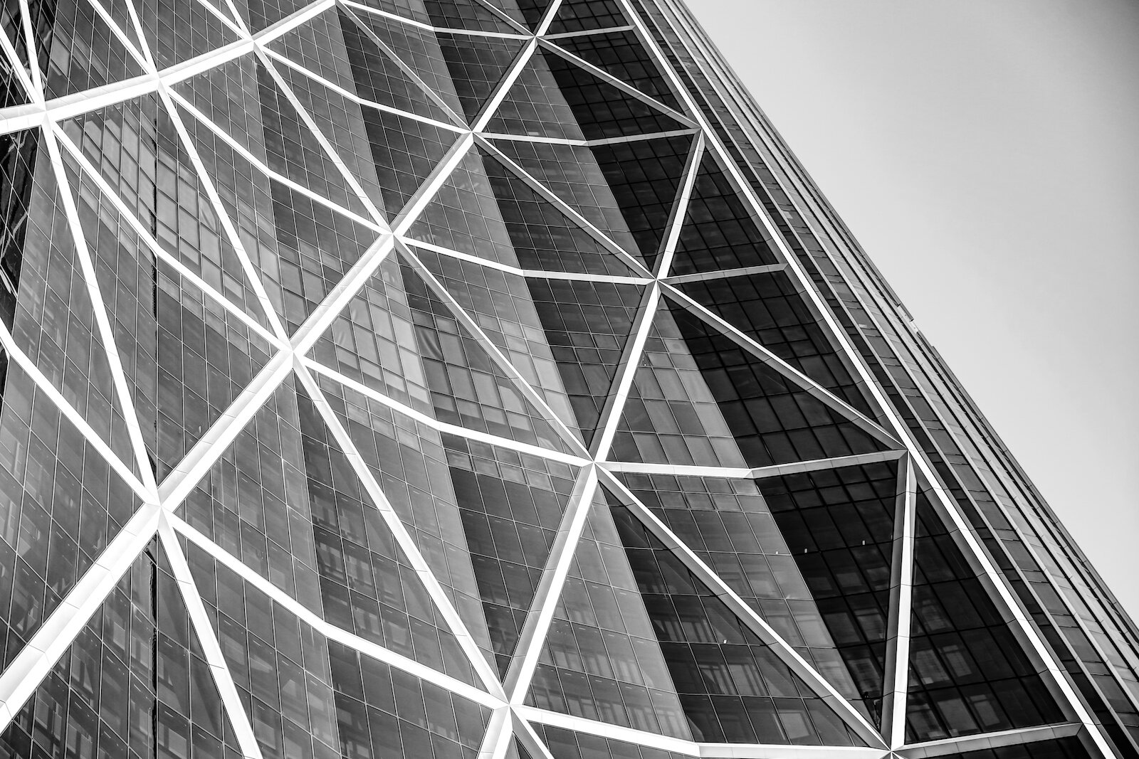 2019 Calgary Skyline Winter BW-27.JPG