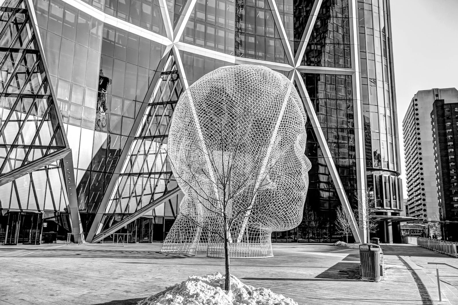 2019 Calgary Skyline Winter BW-30.JPG