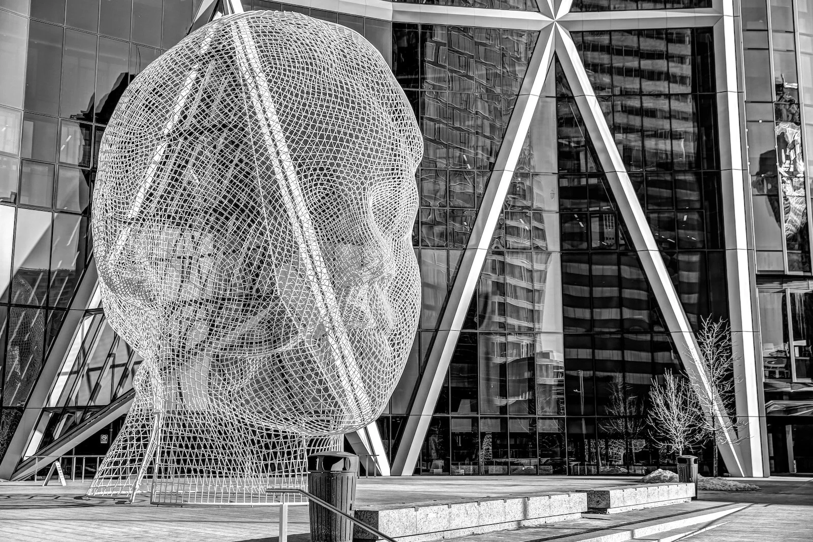 2019 Calgary Skyline Winter BW-32.JPG