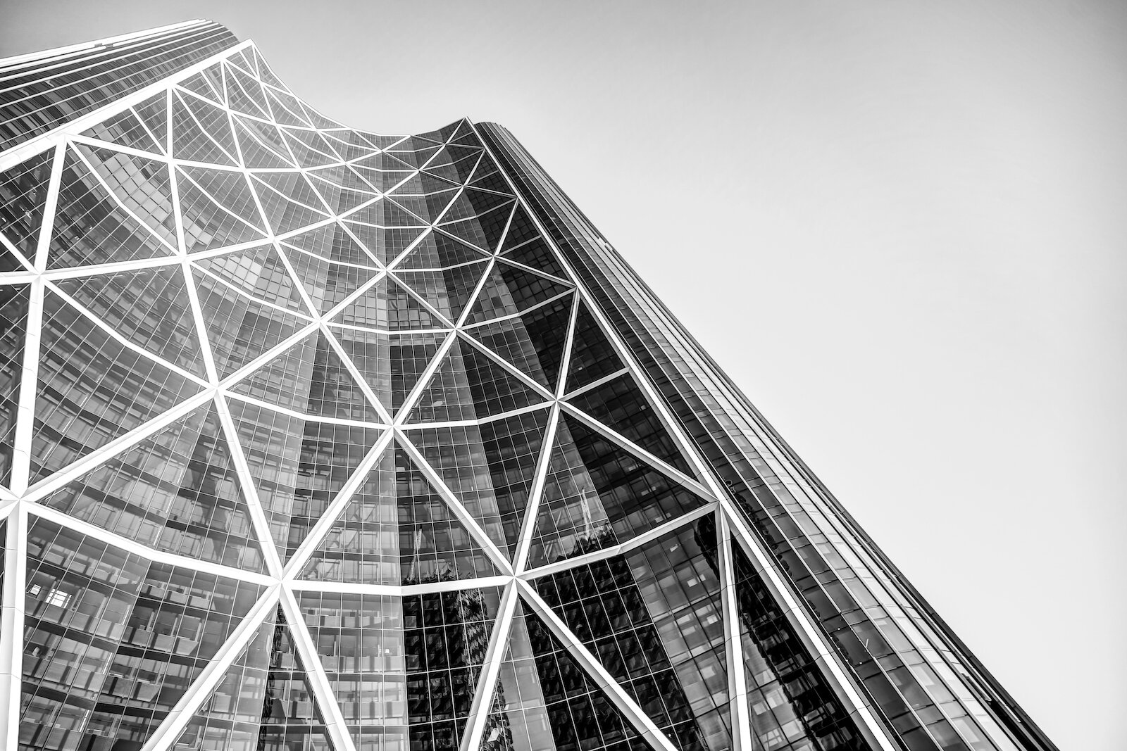 2019 Calgary Skyline Winter BW-34.JPG