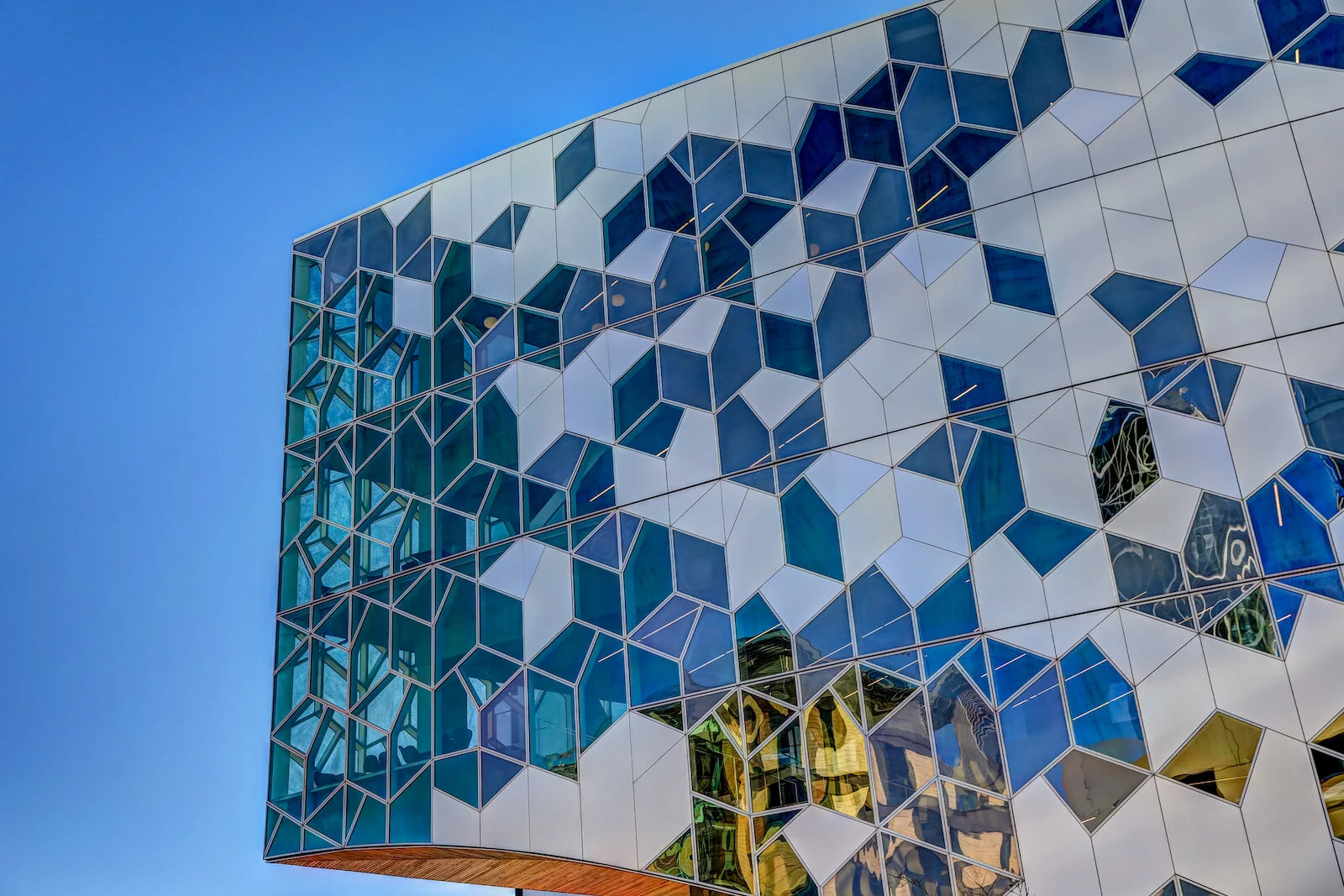 2019 Calgary Skyline Winter Colour-2.JPG