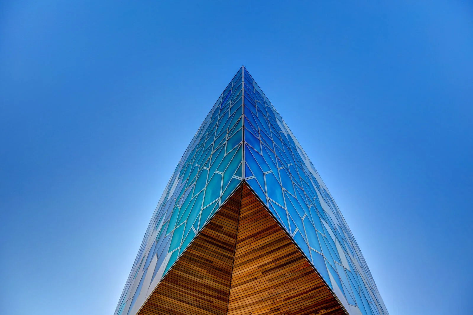 2019 Calgary Skyline Winter Colour-13.JPG