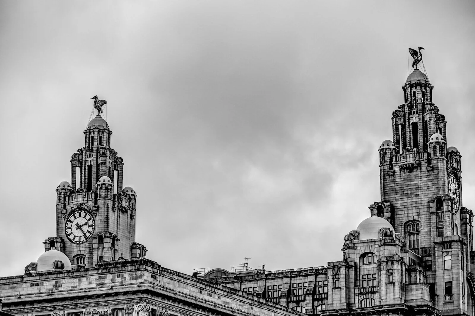 2019 LIVERPOOL-61.JPG