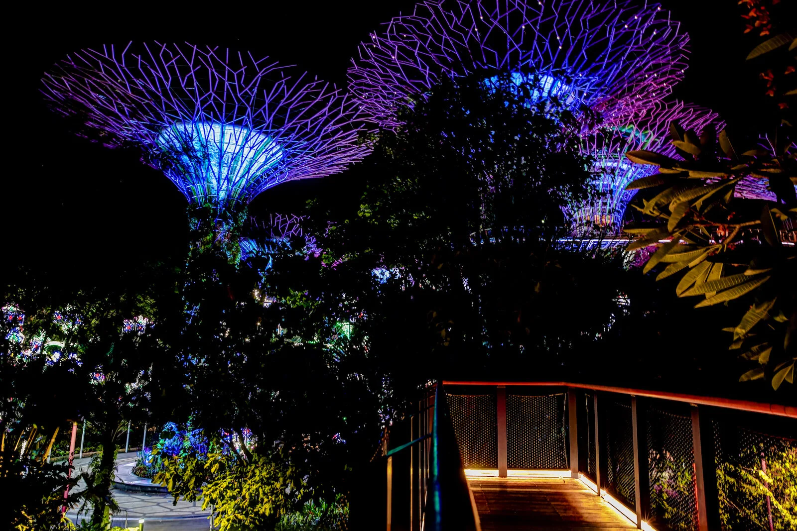 ASIA 2019 SINGAPORE-30.JPG