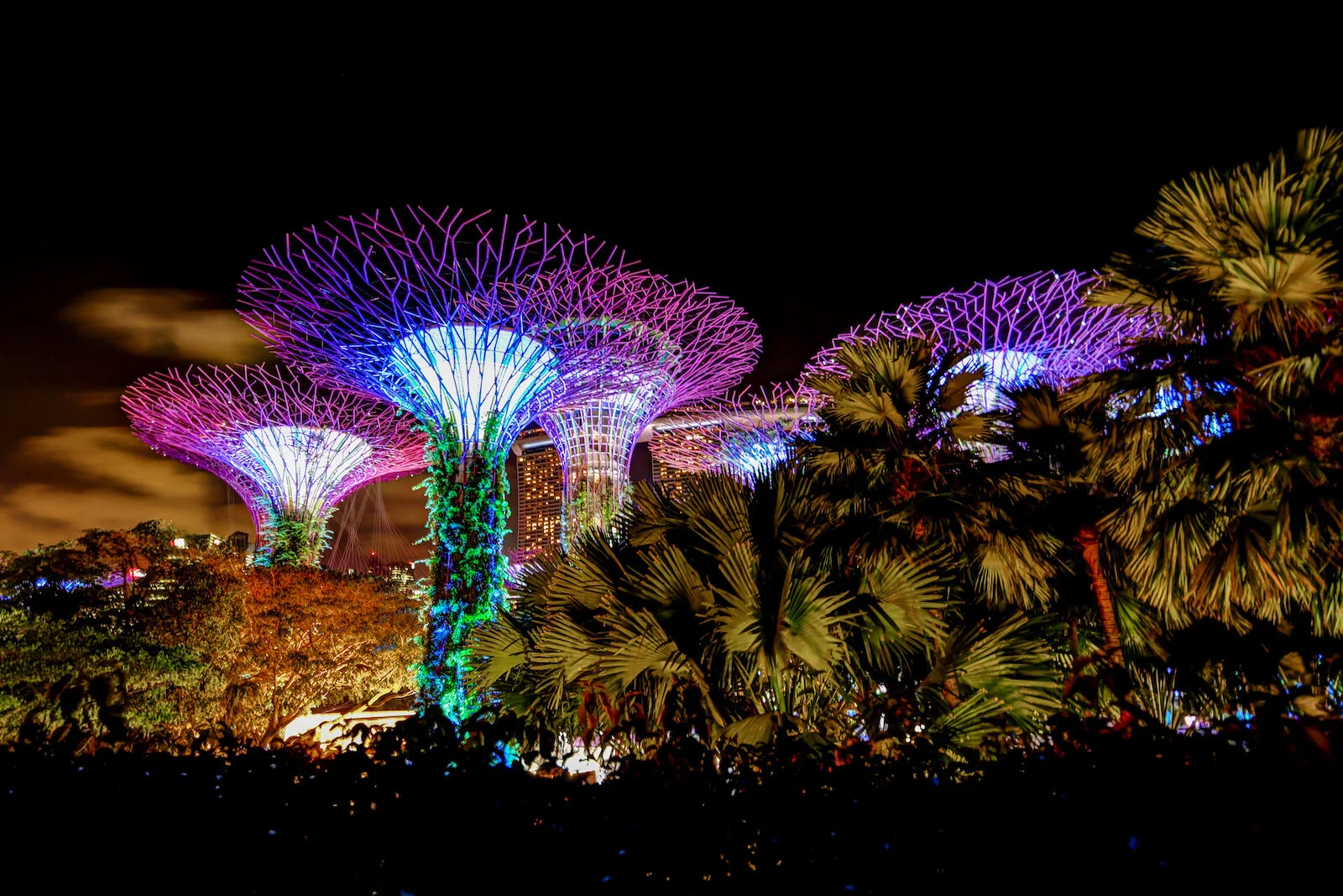 ASIA 2019 SINGAPORE-31.JPG
