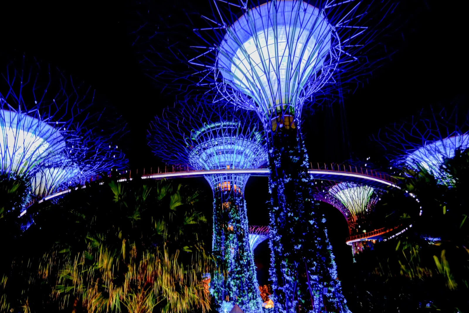 ASIA 2019 SINGAPORE-40.JPG