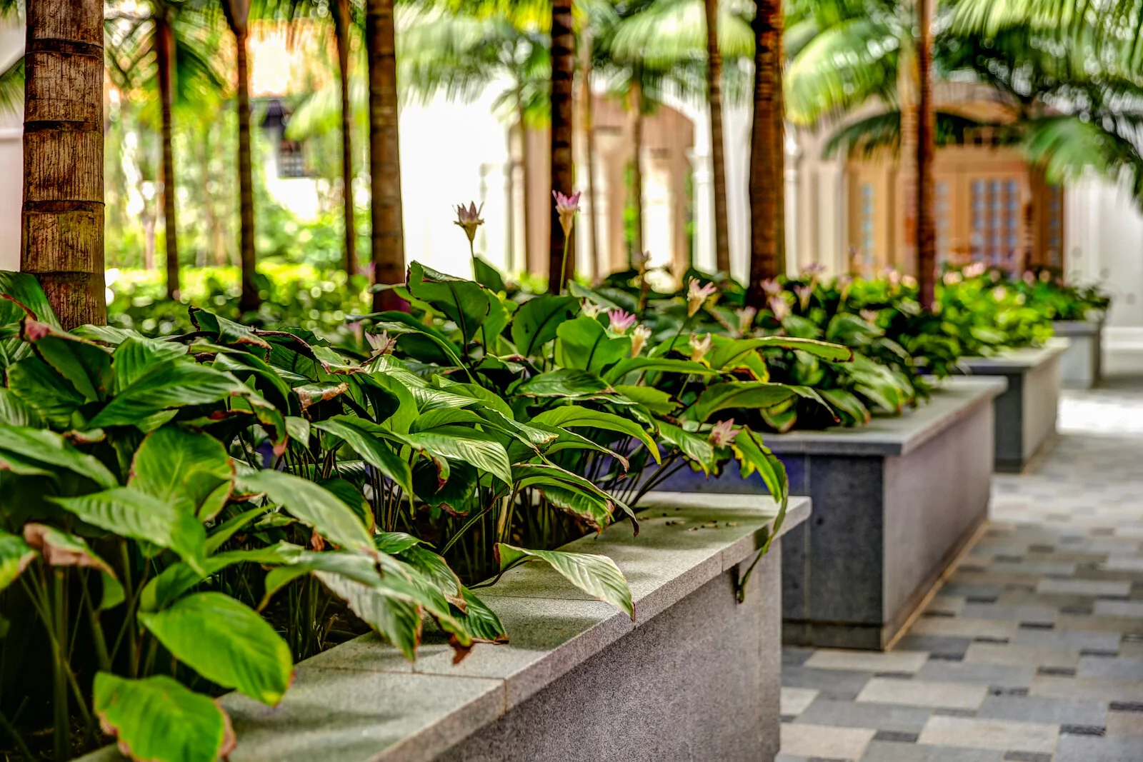 ASIA 2019 SINGAPORE-76.JPG