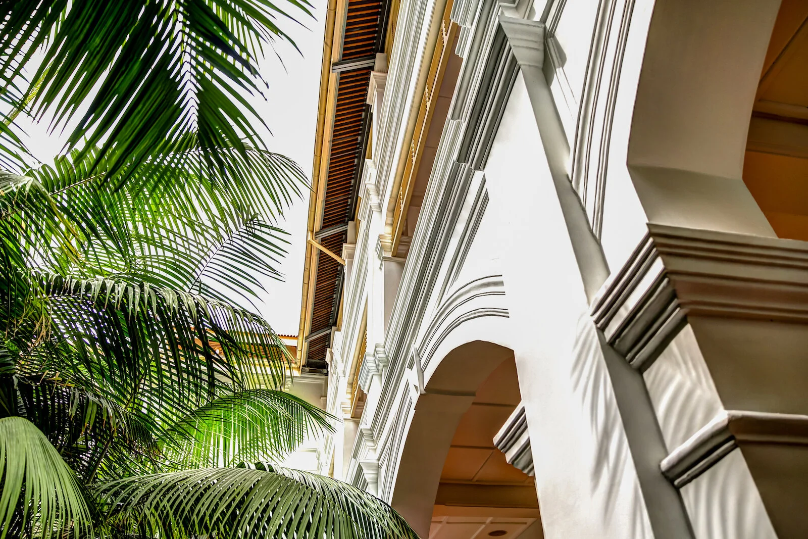 ASIA 2019 SINGAPORE-77.JPG