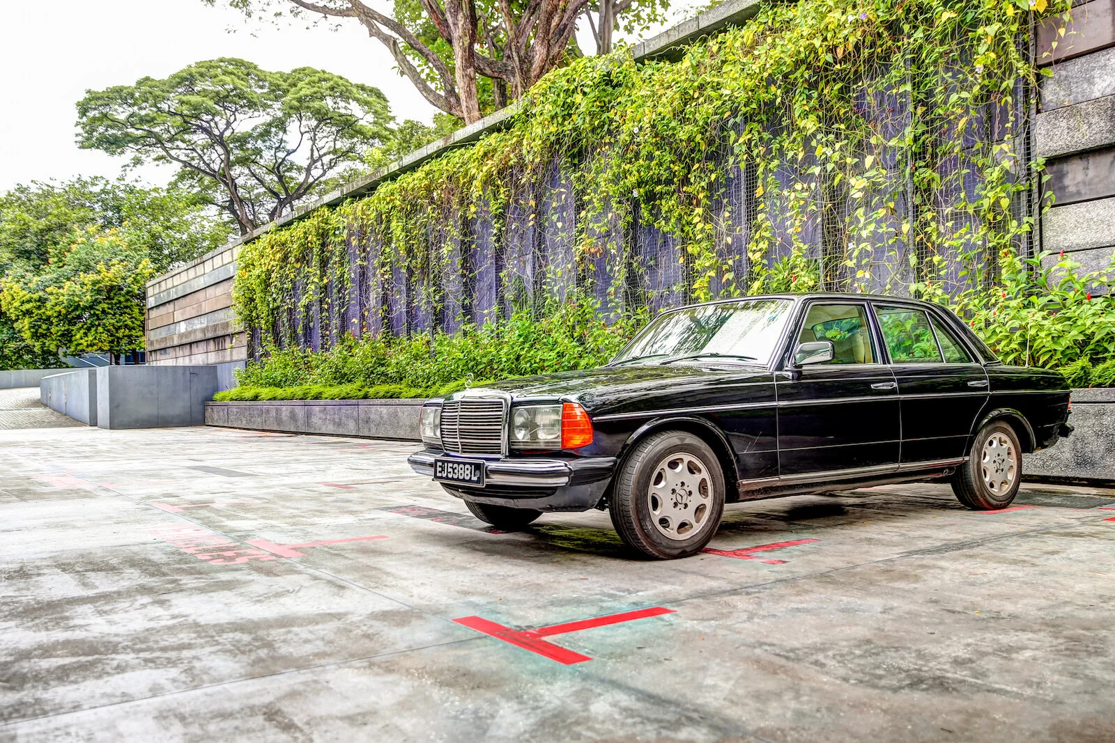 ASIA 2019 SINGAPORE-112.JPG