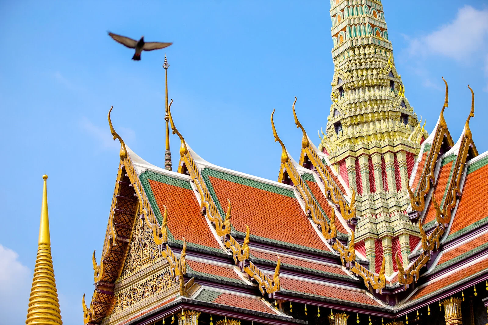ASIA 2019 BANGKOK-60.JPG