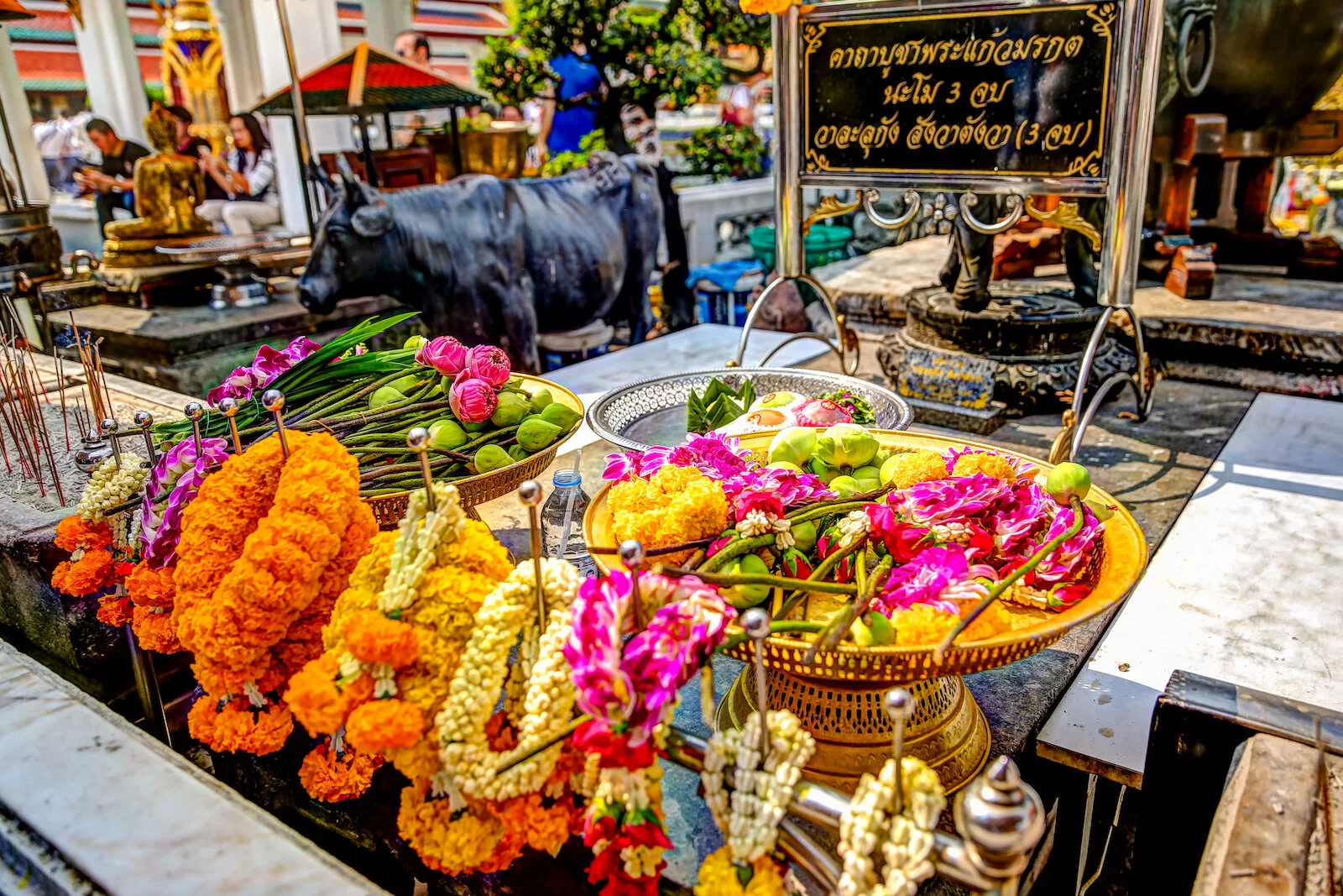 ASIA 2019 BANGKOK-63.JPG