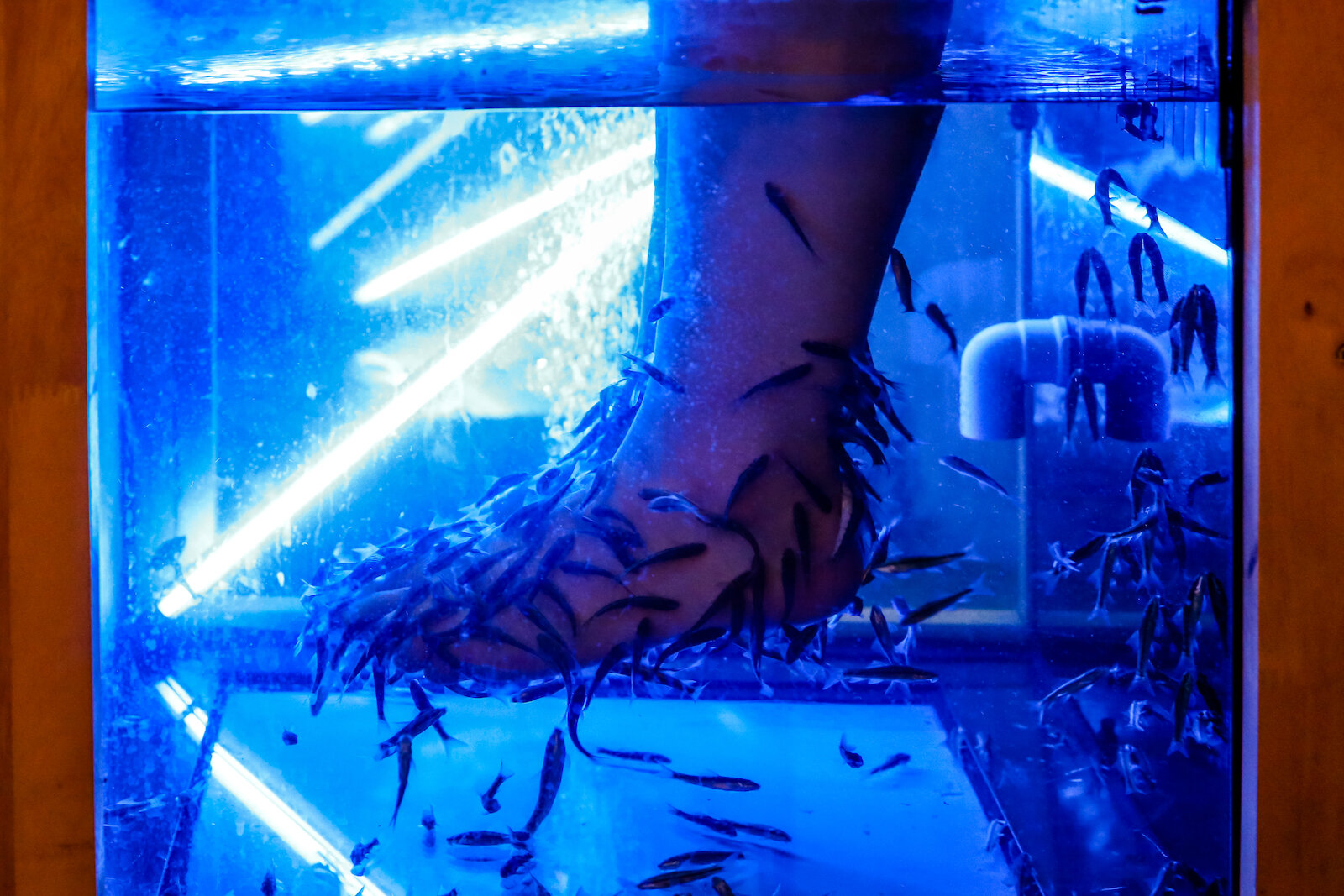 ASIA 2019 BANGKOK-125.JPG