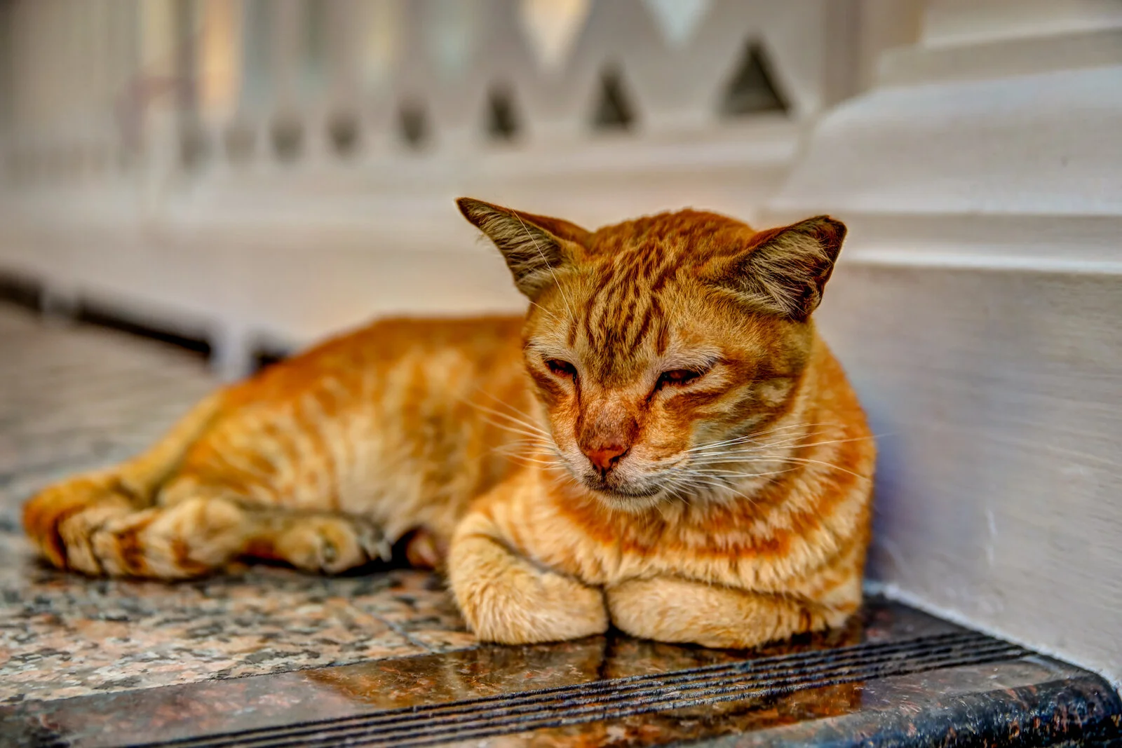 ASIA 2019 BANGKOK-153.JPG