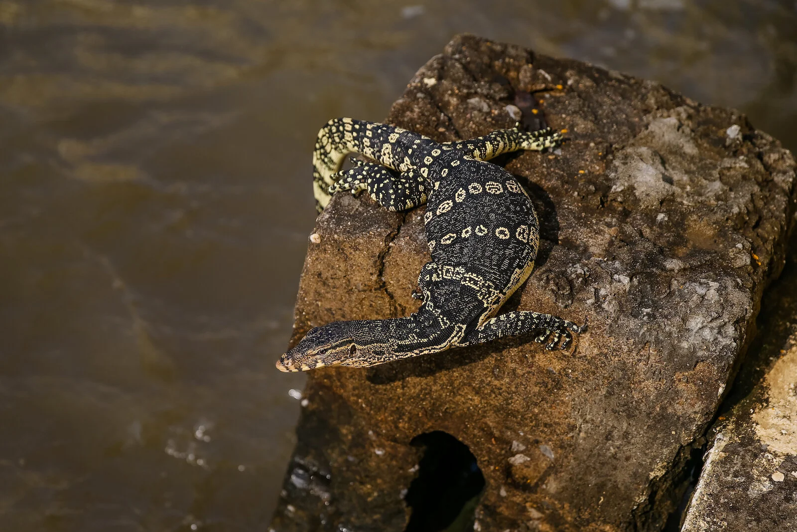 ASIA 2019 BANGKOK-186.JPG