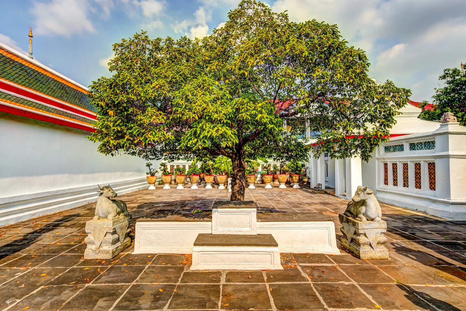 ASIA 2019 BANGKOK-199.JPG