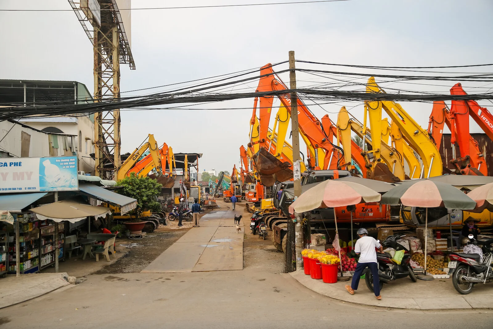ASIA 2019 MEKONG DELTA-6.JPG
