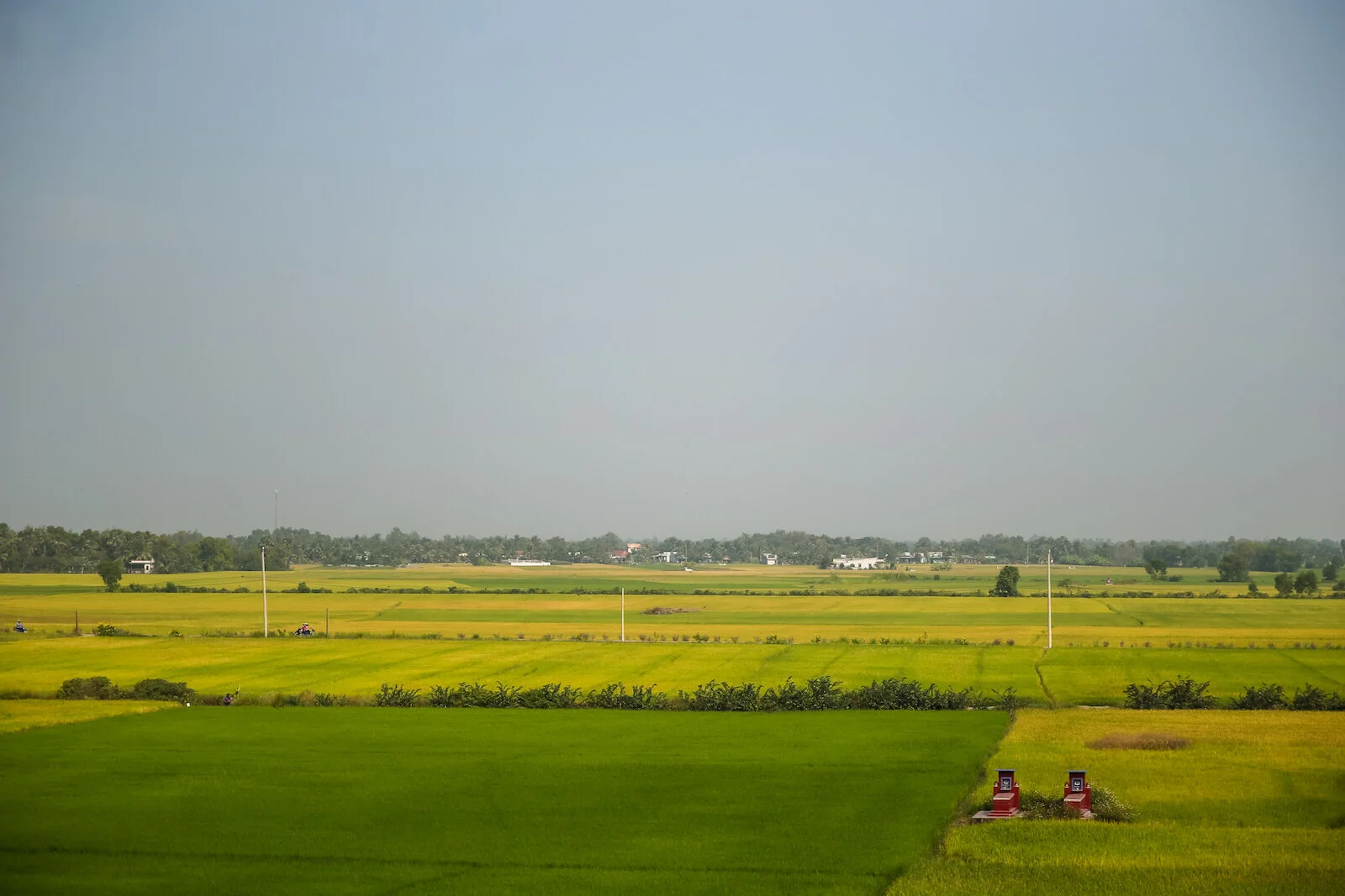 ASIA 2019 MEKONG DELTA-7.JPG