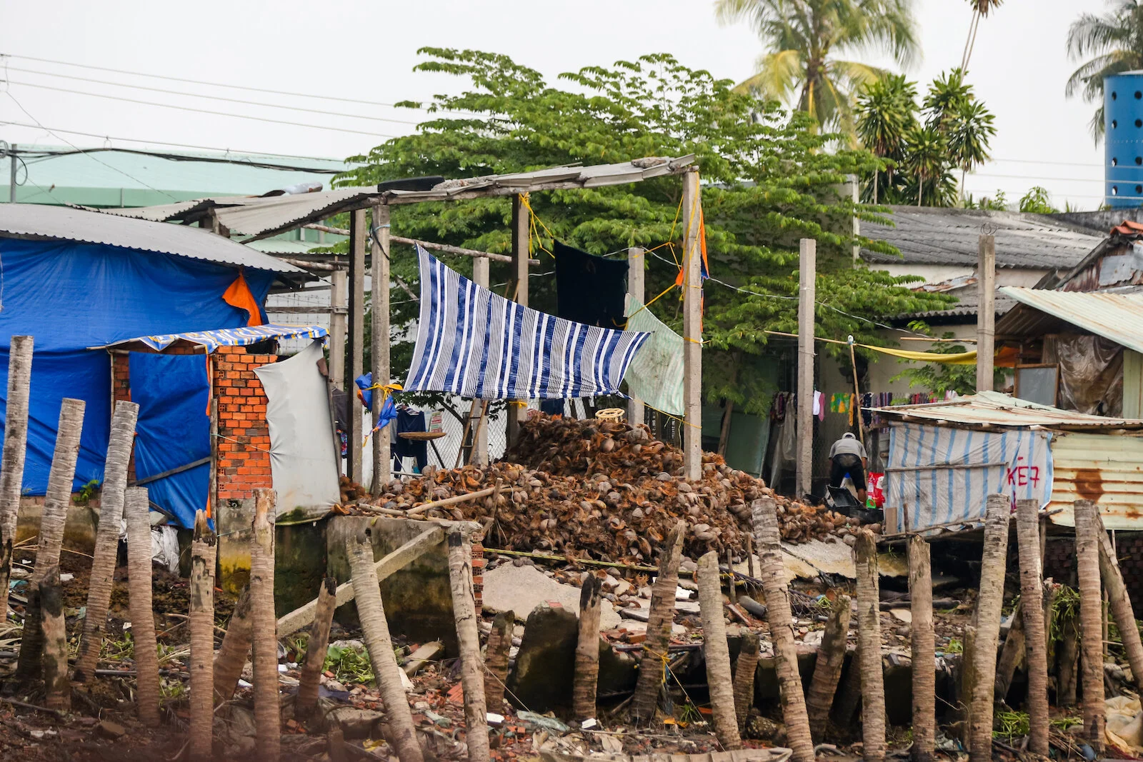 ASIA 2019 MEKONG DELTA-35.JPG