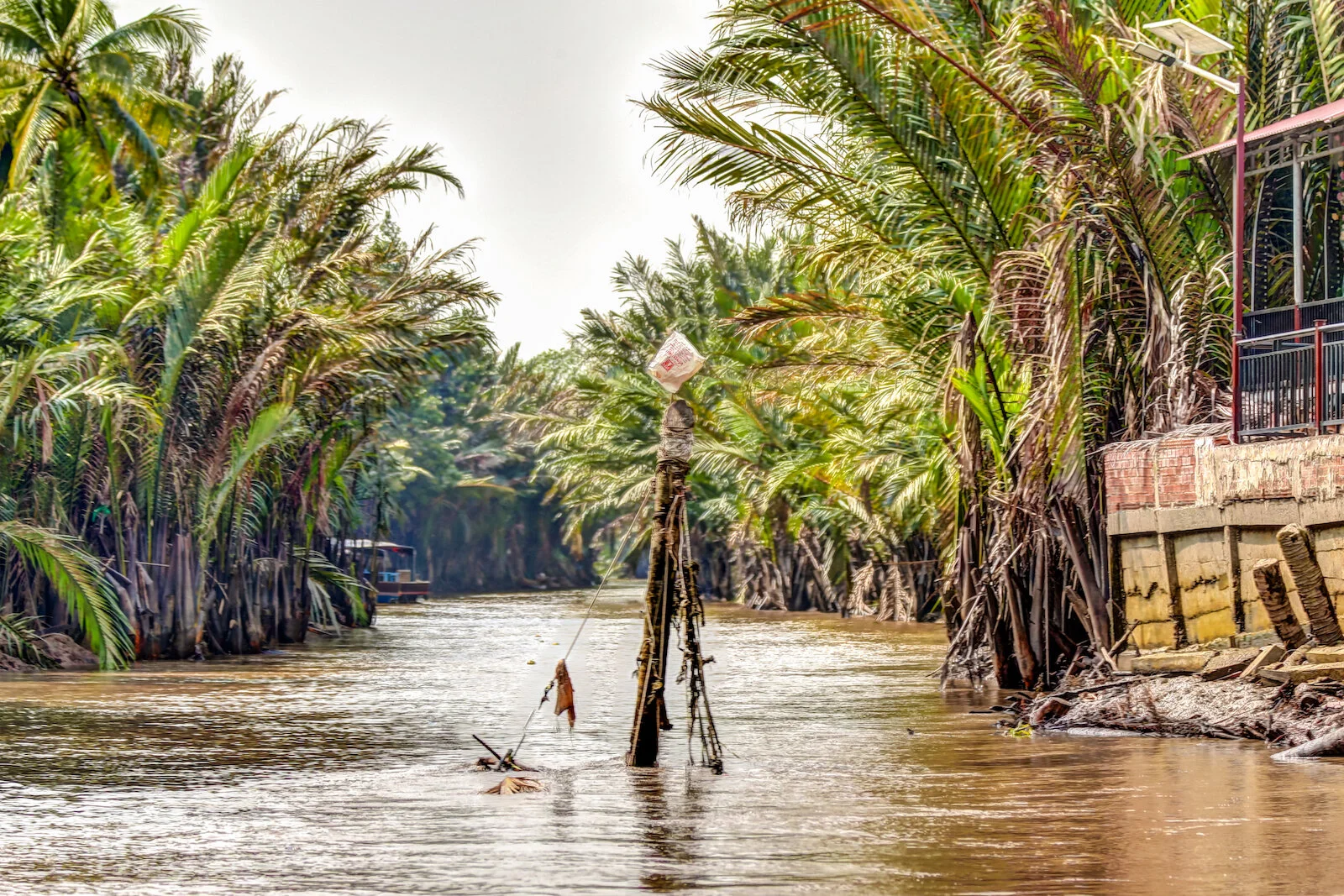 ASIA 2019 MEKONG DELTA-44.JPG
