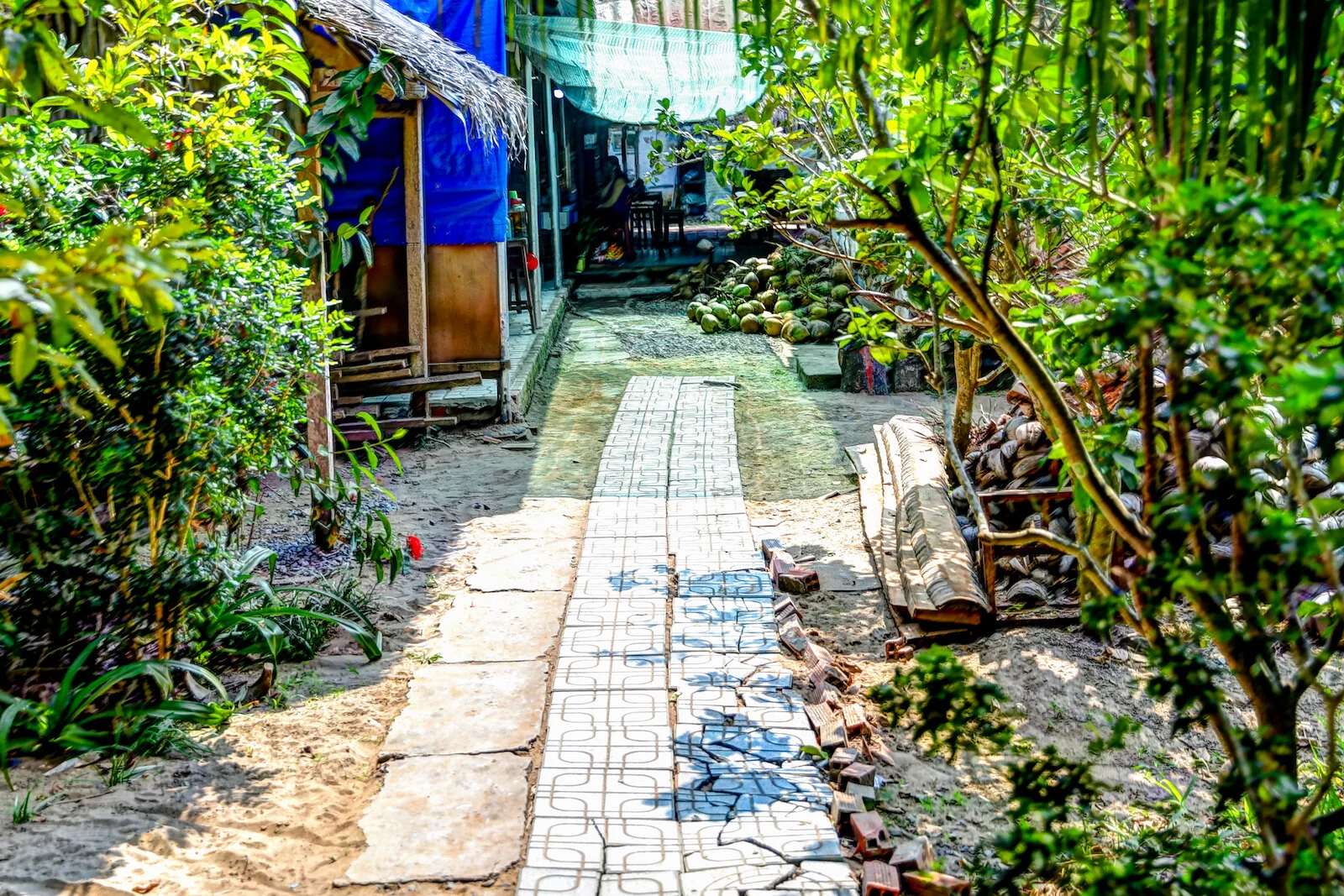 ASIA 2019 MEKONG DELTA-51.JPG