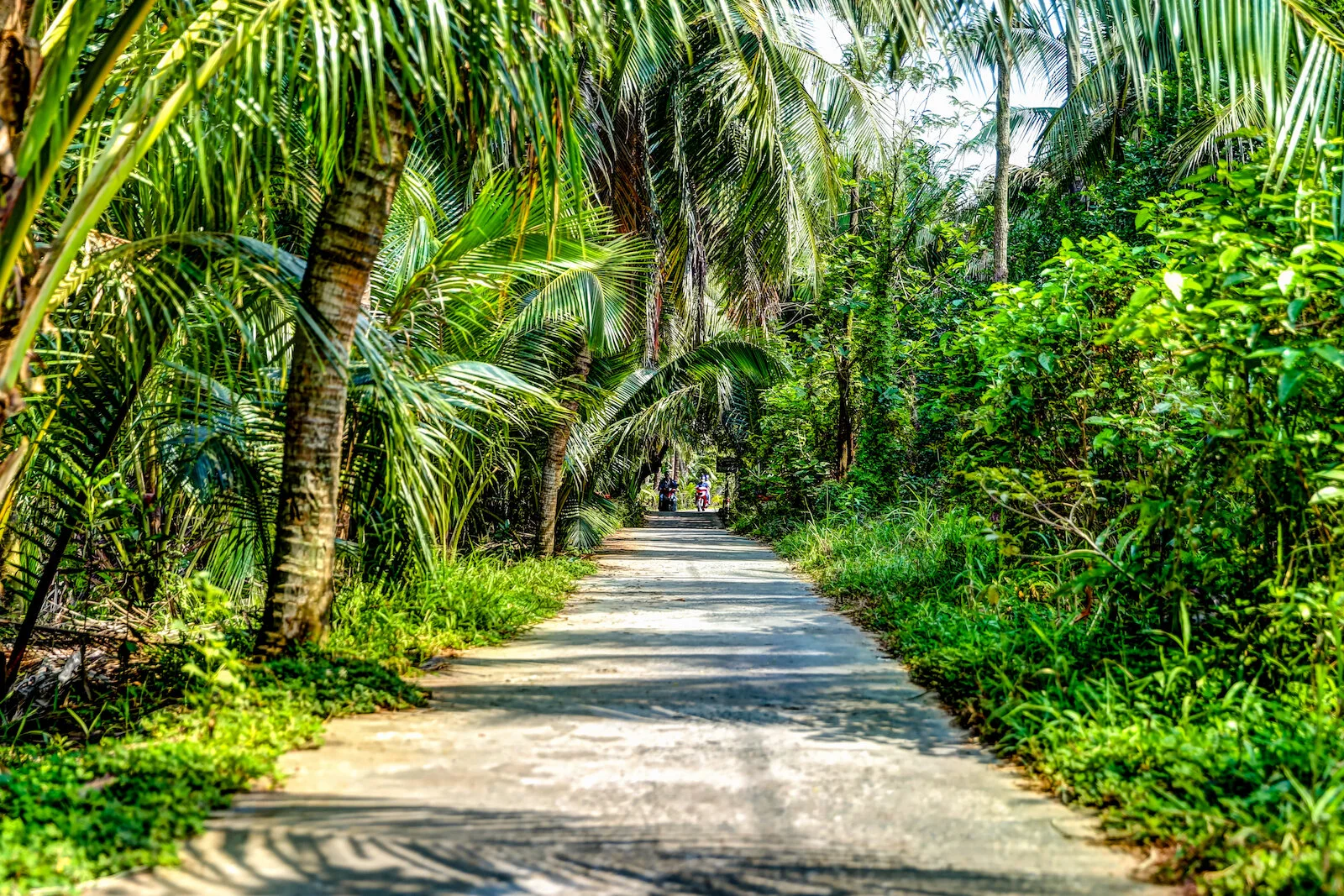 ASIA 2019 MEKONG DELTA-60.JPG