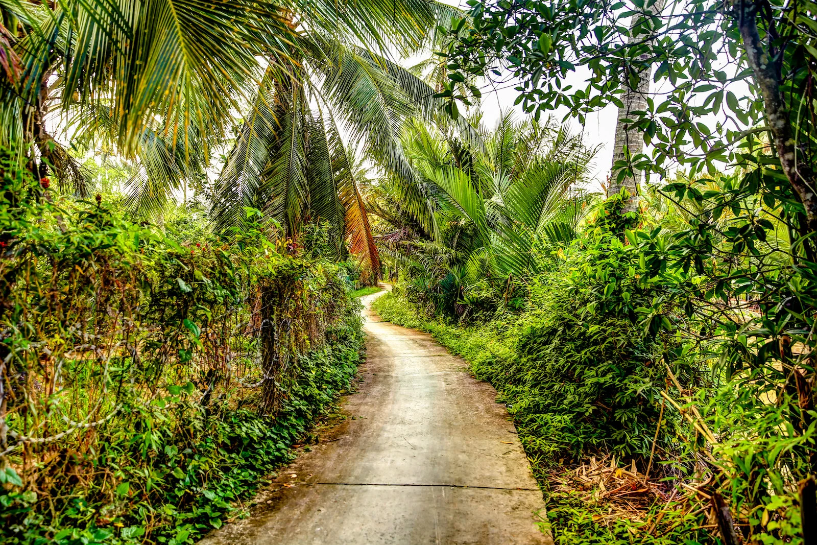 ASIA 2019 MEKONG DELTA-69.JPG