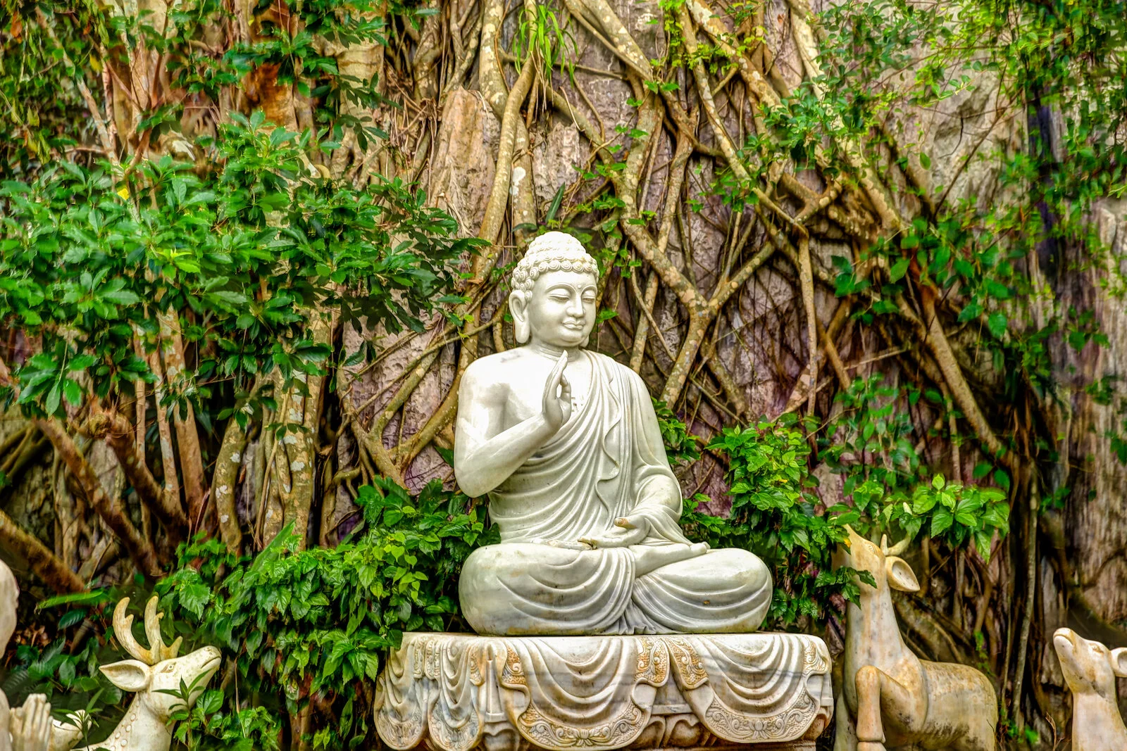 ASIA 2019 DANANG-57.JPG