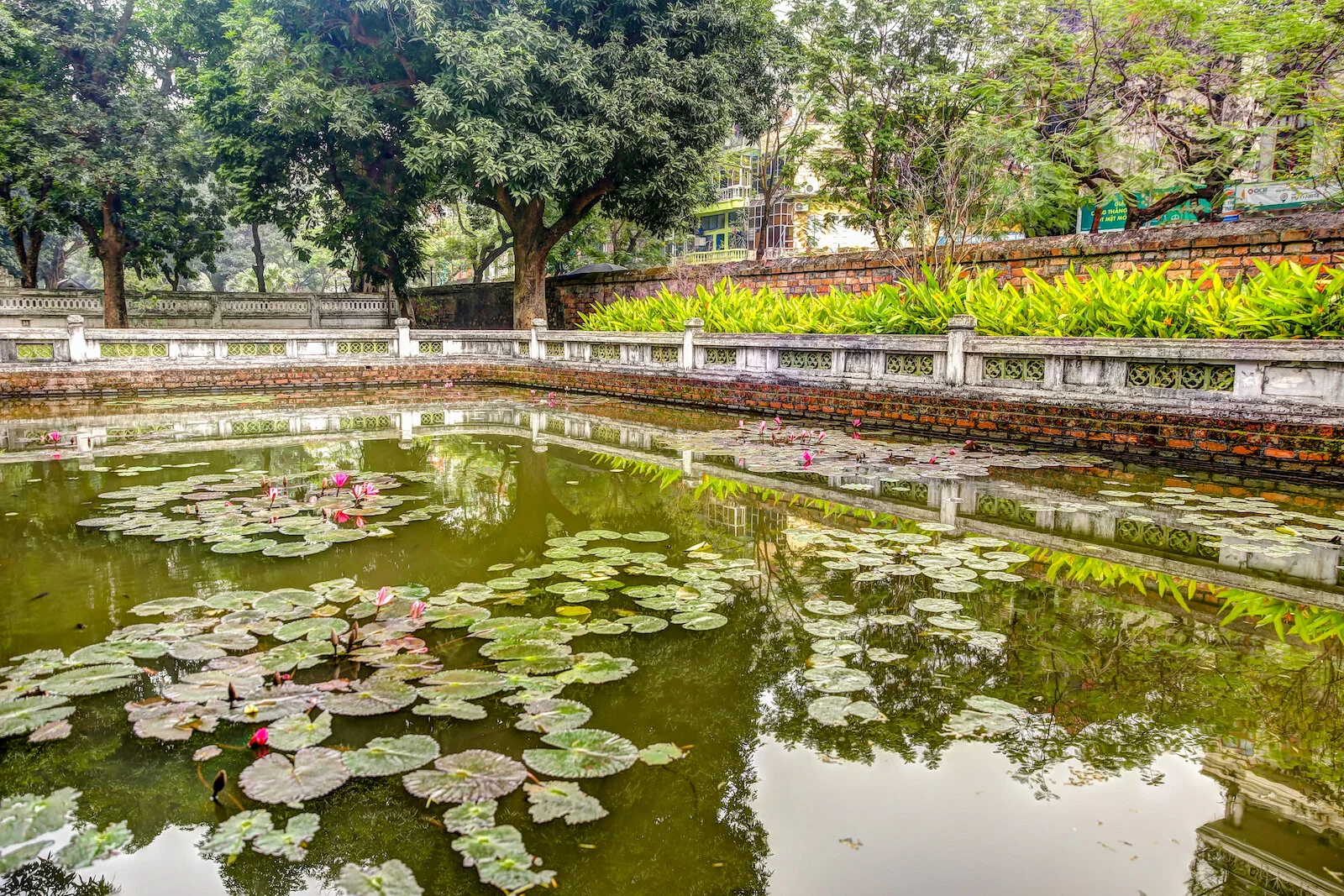 ASIA 2019 HANOI-10.JPG