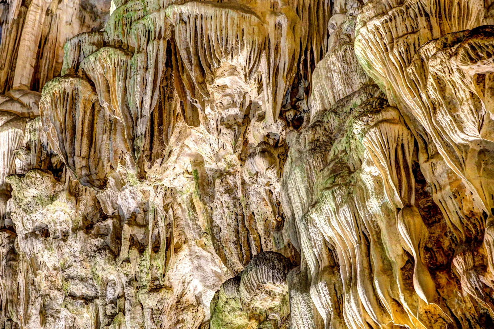 ASIA 2019 HALONG BAY-57.JPG