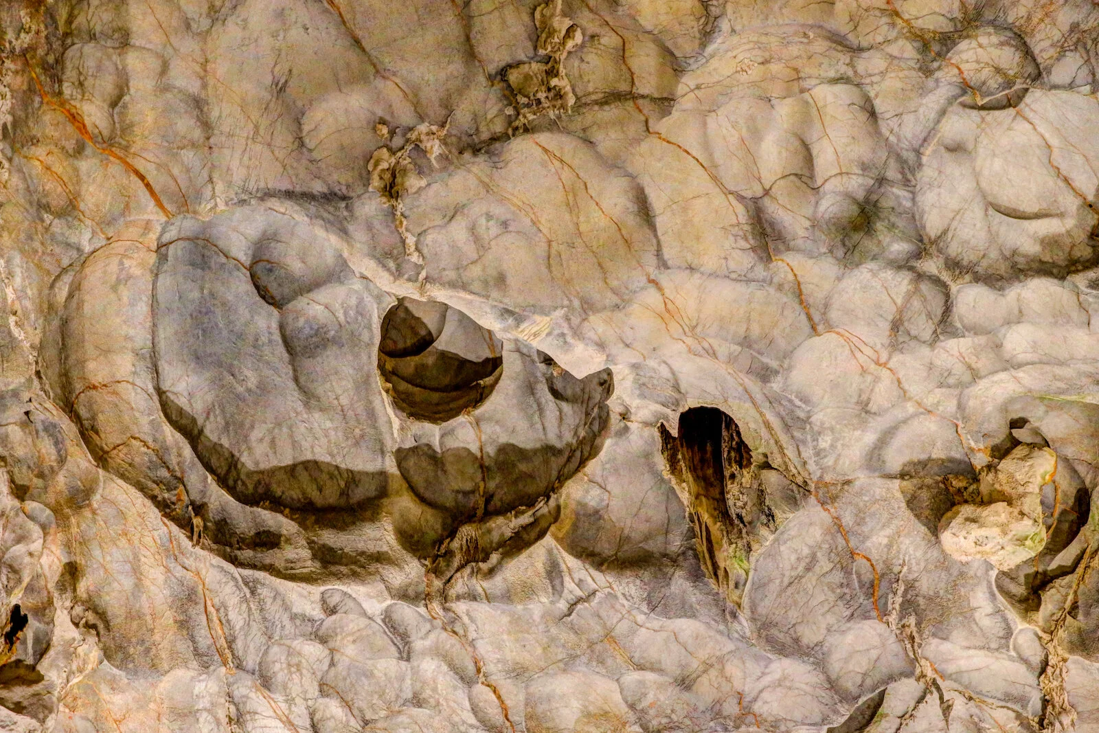 ASIA 2019 HALONG BAY-61.JPG