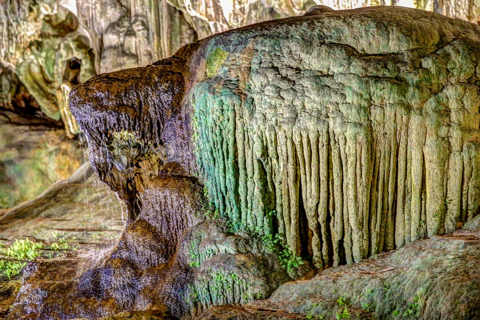 ASIA 2019 HALONG BAY-63.JPG