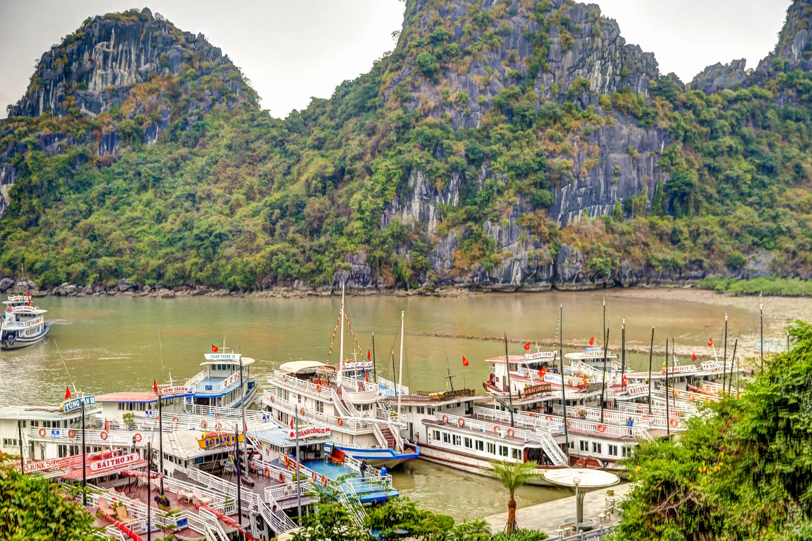 ASIA 2019 HALONG BAY-72.JPG