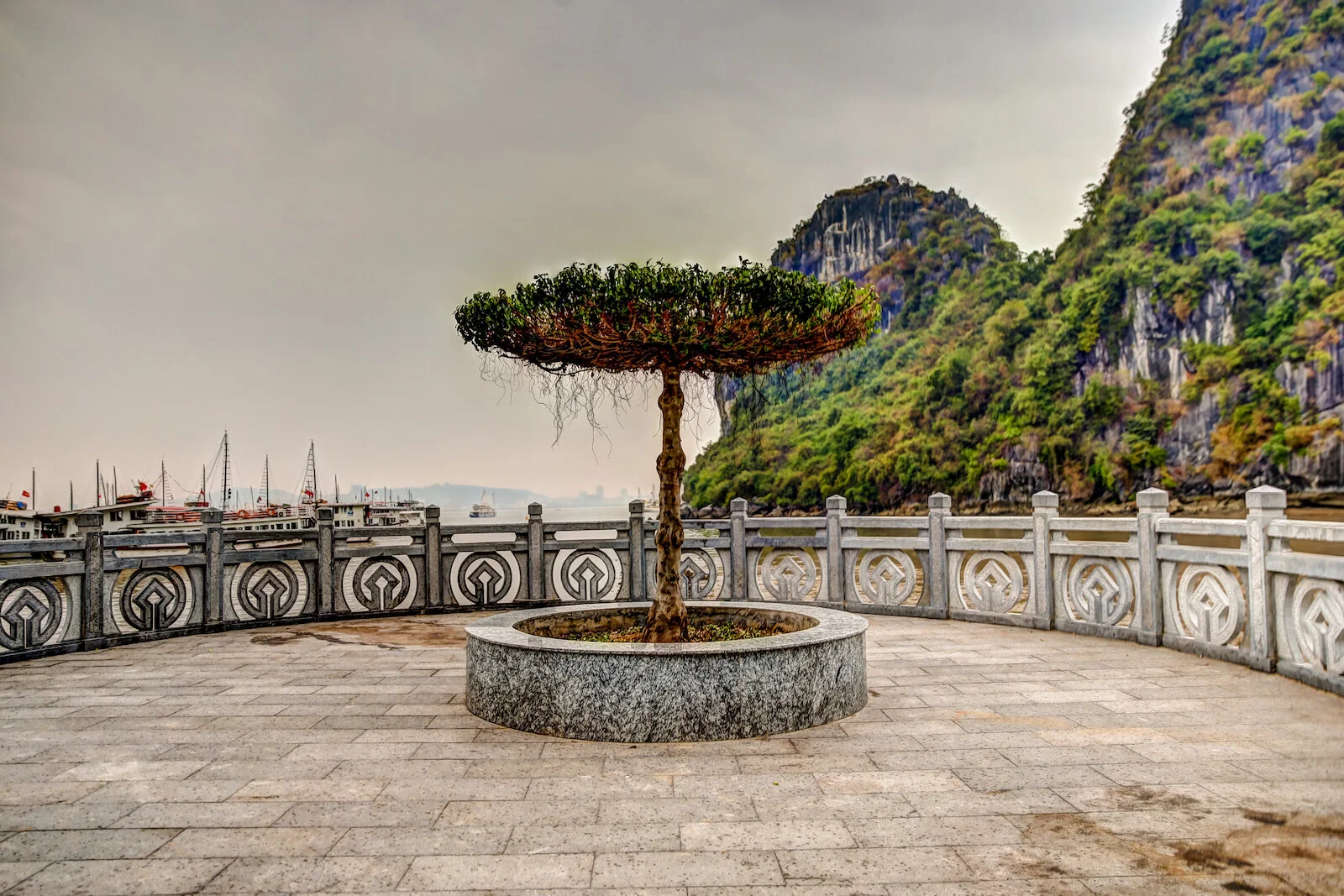 ASIA 2019 HALONG BAY-75.JPG