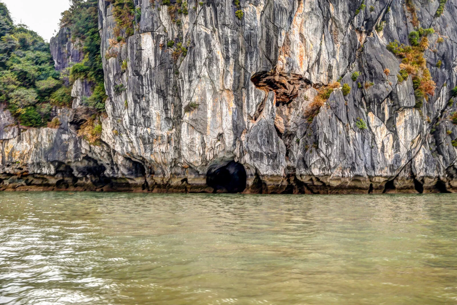 ASIA 2019 HALONG BAY-85.JPG