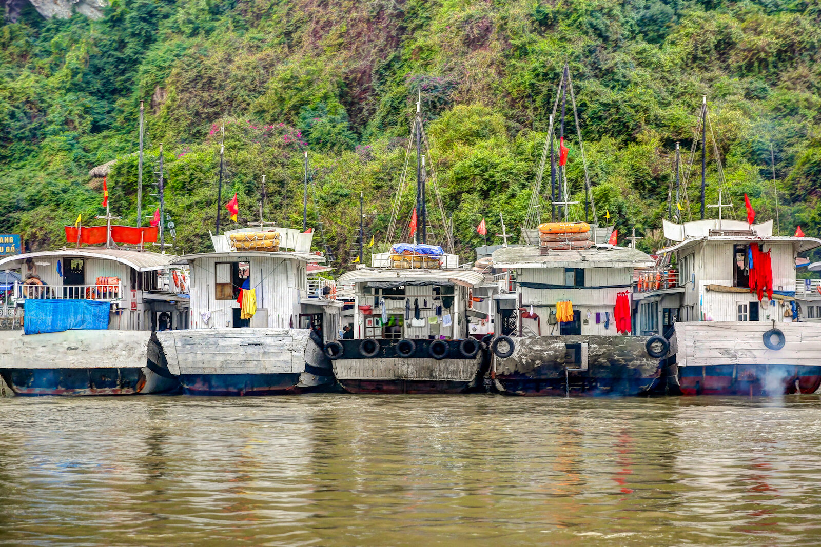 ASIA 2019 HALONG BAY-84.JPG