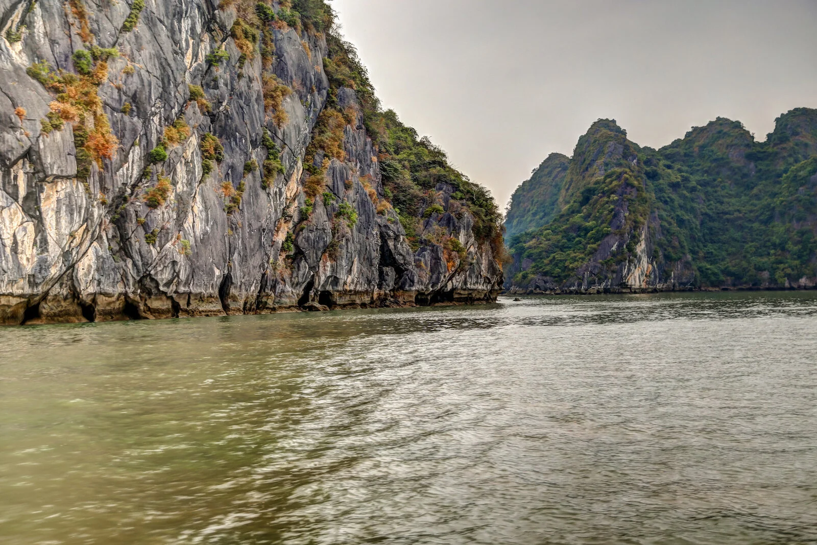ASIA 2019 HALONG BAY-86.JPG