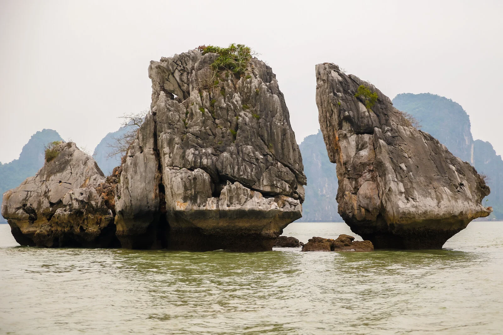 ASIA 2019 HALONG BAY-105.JPG