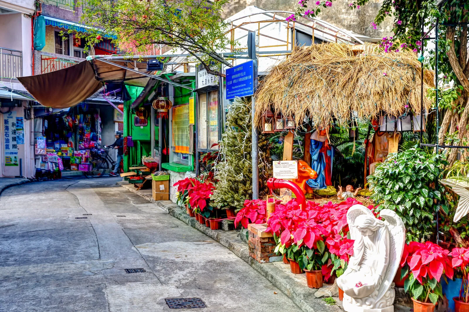 ASIA 2019 HONG KONG LANTAU-6.JPG