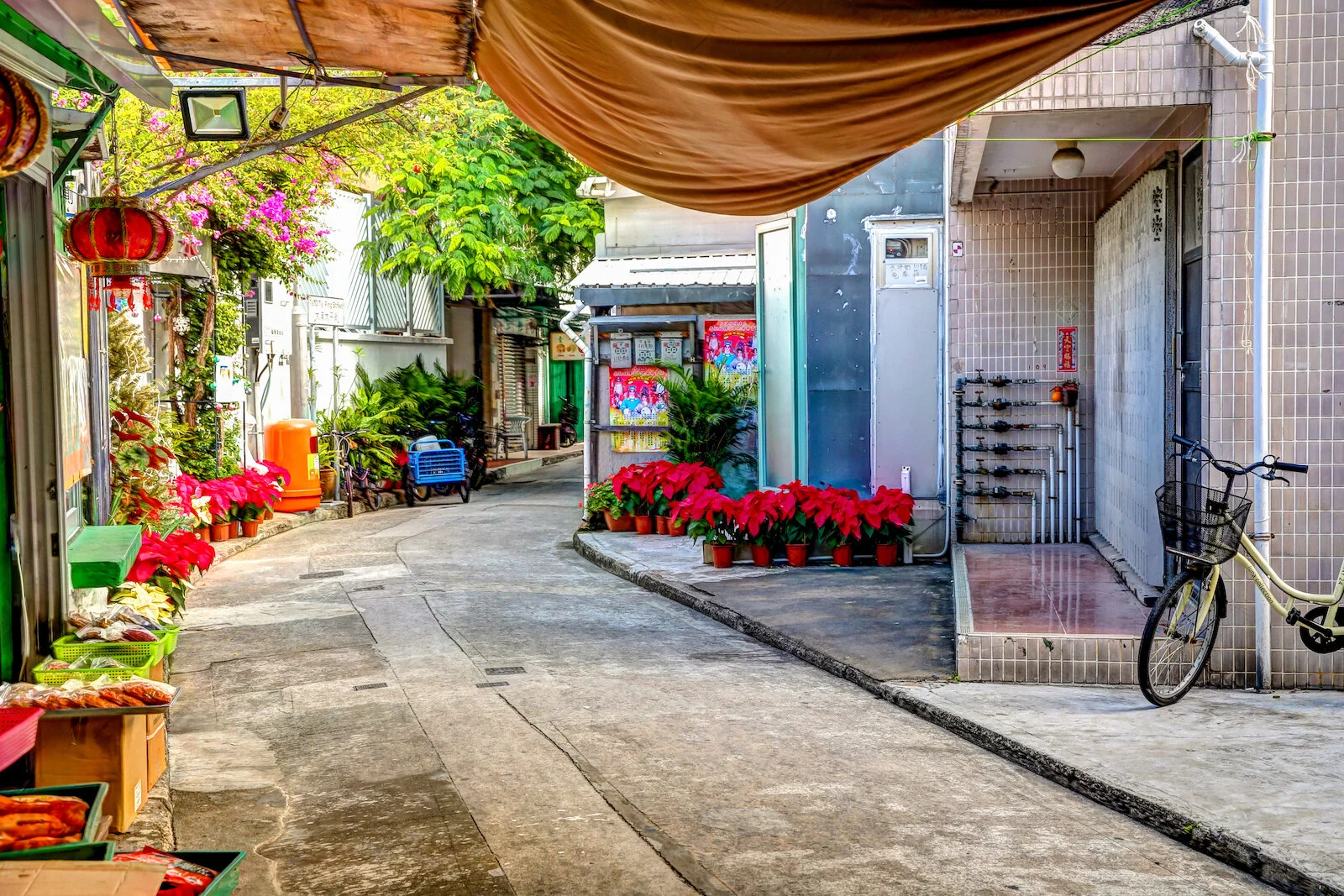 ASIA 2019 HONG KONG LANTAU-7.JPG